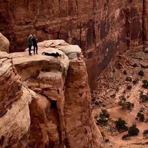 Meet your Posher, Heidi